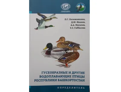 Водоплавающие птицы Гатчинского парка | Государственный музей-заповедник  \"Гатчина\"