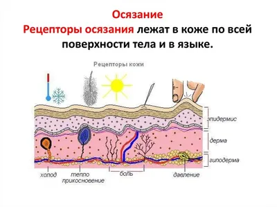 Редкие заболевания I Takeda Казахстан