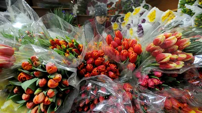 Цветы в Санкт-Петербурге — заказать букет с доставкой, купить стильную  композицию | Цветочный Kora
