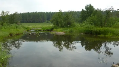 Сплав по реке Ай маршрут из Уфы - организация сплавов