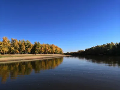 Река Ахтуба :: Олег Рыбалко – Социальная сеть ФотоКто