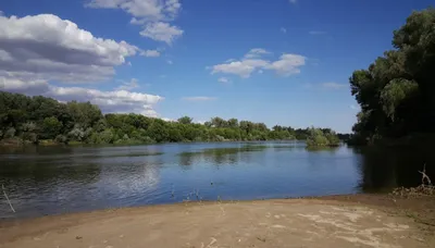 📷 На берегу реки Подстепка - одно из ответвлений реки Ахтуба