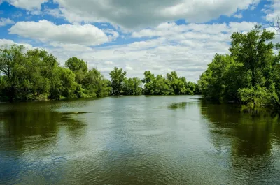 В Волгоградской области начали расчищать реку Ахтуба | Телеканал “Волгоград  1”