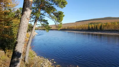 Река Алдан « Официальный сайт города Алдан