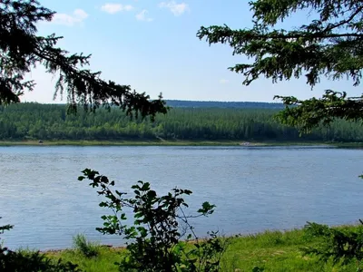 Повышение уровней воды зафиксировано на реке Алдан в Якутии — ЯСИА