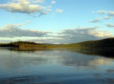 Как выглядит огромная российская река Алдан в Якутии | ✈ТРИПанем?✈ | Дзен