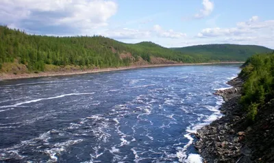 На участке реки Алдан в Якутии сформировался максимум дождевого паводка —  ЯСИА
