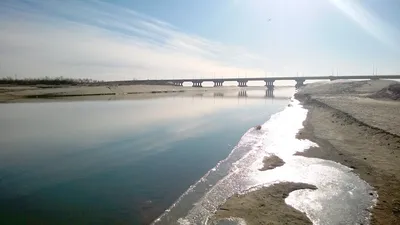 Амударья – великая река Средней Азии: чем грозит ее исчезновение? | Живая  Средняя Азия | Дзен