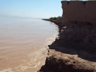 Река Амударья: тип питания, на карте, где протекает и куда впадает,  Таджикистан, Узбекистан, Туркмения, Афганистан
