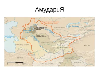 В 2022 году Туркменистан лидер по водозабору из русла Амударьи среди стран  бассейна реки — МетеоЖурнал