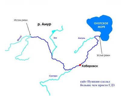 Спутниковый мониторинг паводка на реке Амур в 2022 г. — Новости и события —  Пресс-центр — Росгидромет