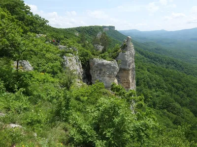 Летний пейзаж с горной рекой. Река Белая в Республике Адыгея стоковое фото  ©Rostovdriver 165869838