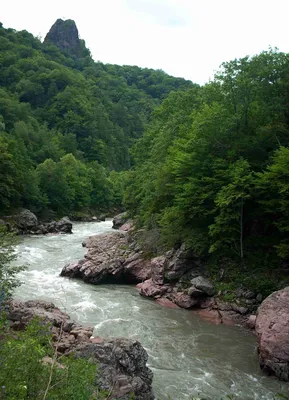 Река Белая (приток Кубани)