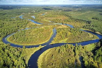 Река Березина – рыбалка, отдых, домики, цены