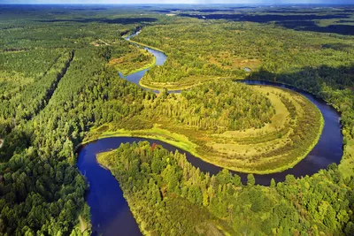 Река Березина – рыбалка, отдых, домики, цены