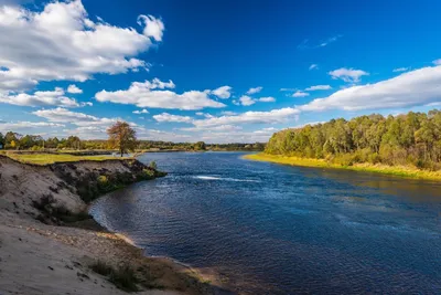Река Березина (62 фото) - 62 фото