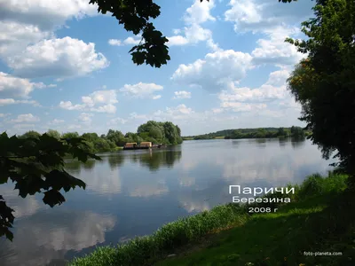 Через Борисов протекает одна из самых грязных рек Беларуси | EX-PRESS.LIVE