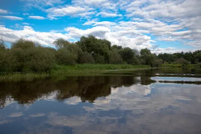 Река Березина. :: Михаил Цегалко – Социальная сеть ФотоКто