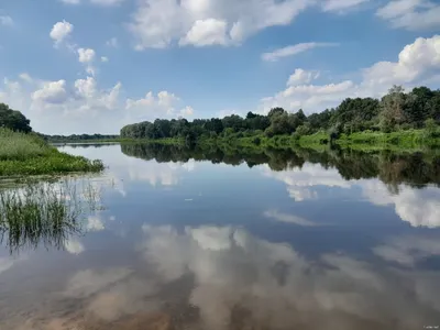 В поход с друзьями по Западной Березине - Xatanga.by