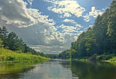 река Березина, Беларусь :: Виктор _ – Социальная сеть ФотоКто