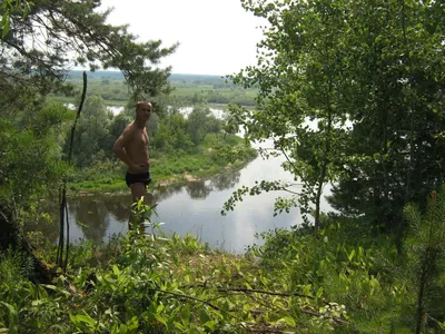 река березина в березинском заповеднике. теплый солнечный день. Стоковое  Фото - изображение насчитывающей сосенка, вода: 218525620