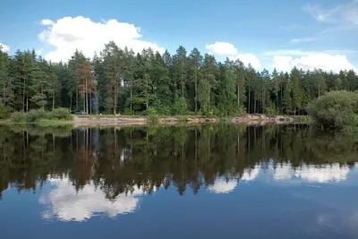 БЕРЕЗИНА БЕРЕЗИНСКАЯ - Озера и реки Беларуси