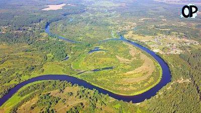 Березина река Бобруйск – отзывы, адреса и телефоны