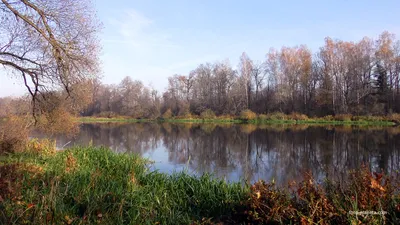 Файл:Река Березина у деревни Стасевка, Бобруйский район.jpg — Википедия