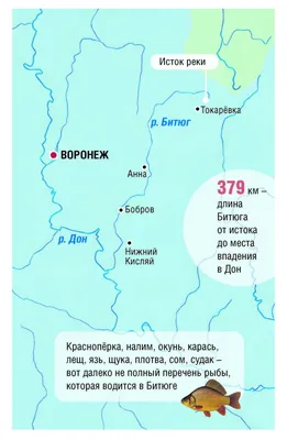 Река Битюг в селе Шестаково Воронежской области :: Ольга Кривых –  Социальная сеть ФотоКто