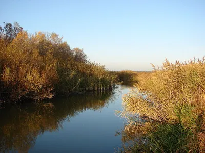 Река Битюг - описание, карта, от истока до устья