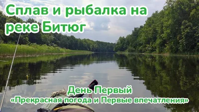 Файл:Река Битюг в Новопокровке.jpg — Википедия