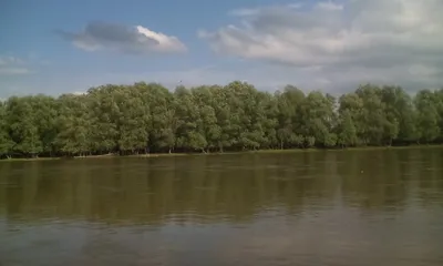 ЧЁРНЫЙ ВОЛК | Река Чулым | Дзен