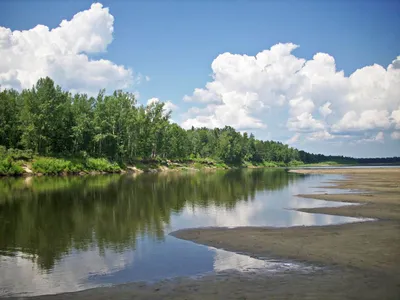 Файл:Река Чумыш, Усть-Чумышский заказник.JPG — Путеводитель Викигид  Wikivoyage