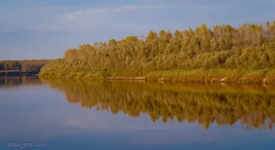 В Тальменке разрабатывается проект по модернизации диких пляжей реки Чумыш  | Новостной портал \"Тальменская жизнь\"