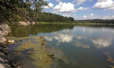 Россия ландшафты река Чумыш АЛТАЙСКИЙ КРАЙ ТАЛЬМЕНСКИЙ РАЙОН КАШКАРАГАИХА  OutdoorsPHOTO - Фотография и путешествия