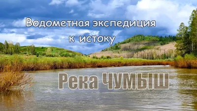 Как в Алтайском крае отреагировали на смерть двоих детей в реке Чумыш -  Толк 16.07.2023
