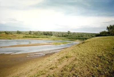 Прощальный выезд на природу. Река Чумыш. — Lada 2120 Надежда, 1,8 л, 2002  года | путешествие | DRIVE2