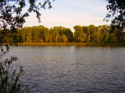 Река Чумыш - СИБГИД