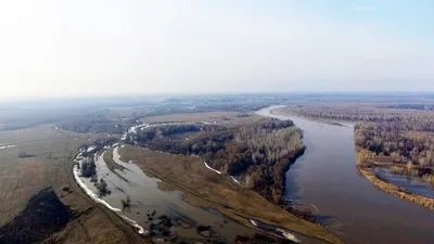 Река Чумыш. :: Владимир Михайлович Дадочкин – Социальная сеть ФотоКто