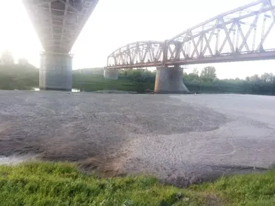 Река Чумыш :: Юрий Борзов – Социальная сеть ФотоКто