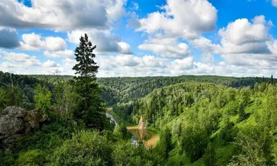 великая сибирская река Чумыш | Большой Керлегеш (Прокопьевский район) |  Фотопланета