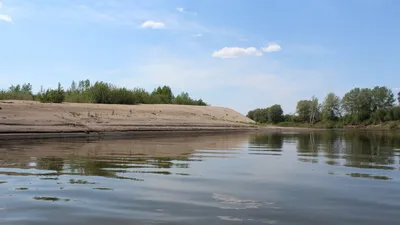 Фотографии : Алтай : Река Чумыш в Залесовском районе, Алтайский край