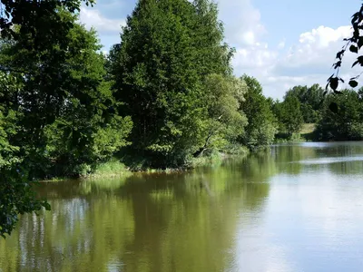Река Десна. Парк Соловьи. — Фото №250457