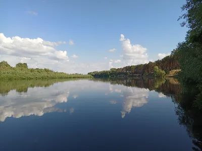Река Десна :: Александр Яковлев – Социальная сеть ФотоКто