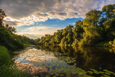 Река Десна - информация о реке - Все для Рыбалки на Десне