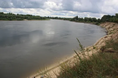 Река Десна в Черниговской области | Пикабу