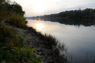Рыбалка на реке Десна — День третий