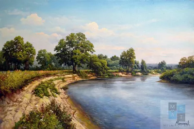 Чарівна річка Десна, Україна | Desna River UKRAINE | Река Десна, УКРАИНА -  YouTube