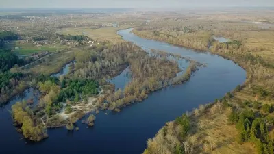 Притоки Десны - информация о притоках и рыбалке на реке Десна | Fishmania