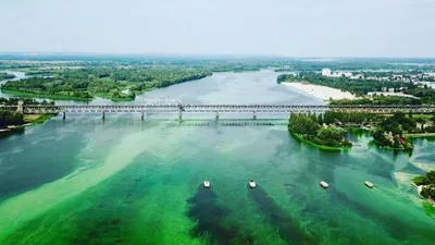 В реке Днепр обнаружили 161 загрязнитель: что может привести к  экологической катастрофе | Інформатор Нікополь